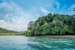 PITI Nest Self-Service Home in Rainforest Nest - Pet Friendly, Wi-fi, Monkeys, Bats! - - 9