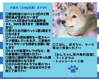 HOTEL PACIFIC VIEW Rental car included & pet-friendly - Okinawa - 4