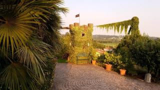 La Collina delle Acacie - Grumolo Pedemonte - 1