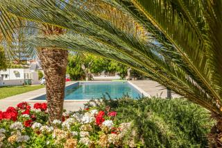 CHRISTINE SEASIDE APARTMENTS IN CHANIA - Stalós - 6