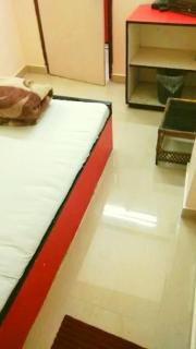 Hotel Pine City - Shillong - 7