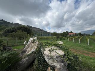 Agriturismo Barbitto - 3