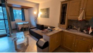 Appartement duplex 34m2 - Allos - 2