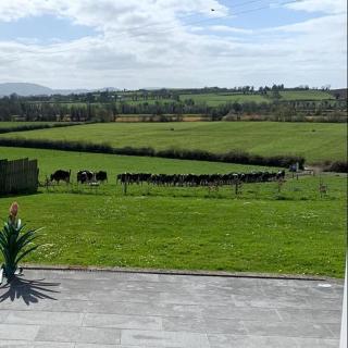 The dairy cottage - 3