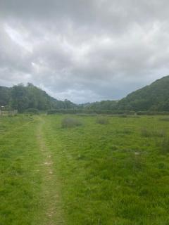Bankfield - Knighton - 7