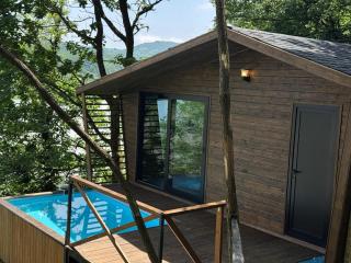 Porto Gumati - Kutaisi - 8