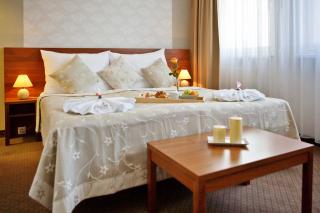 Hotel Janosik - 8