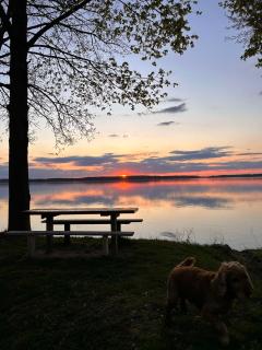 Domek nad jeziorem Gołdopiwo - 8