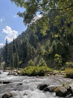 Blue Water Riverside Resort & Fishing Spot Kalam - Kalām - 4
