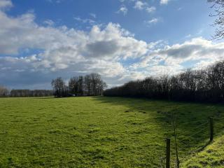 De Baander - - 1
