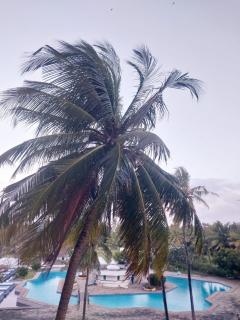 Diani Studio with 3 Pools & Balcony - Diani Beach - 6
