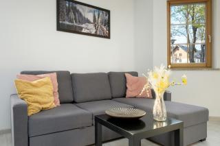 Elegancki Apartament Sun Seasons 24 w Szklarskiej Porębie z Parkingiem by Noclegi Renters - Szklarska Poręba - 5