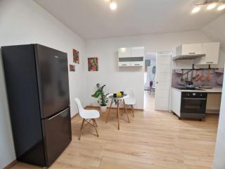 Apartament Wodzisław Śląski Blisko granicy - Wodzisław Śląski - 0
