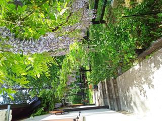 5 Bedroom House - Rudanovac - 8