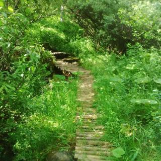 Rural Escape Chalet - Rudanovac - 8