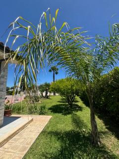 White Rock House - Fontane Bianche - 5