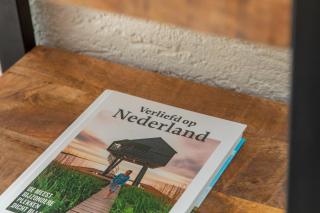 Vakantiehuis onderaan duinen in Zoutelande, Strand 5 - Zoutelande - 5