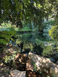 The Annexe at Fishponds - Glastonbury - 8