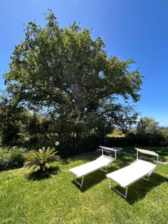 Villa Grazia - SantʼAgata di Militello - 4