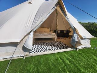 Alpaca view emperor bell tent - New Holland - 3