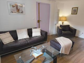 APPARTEMENT DAISY - Au Calme des Vignes - Parking privatif & Animaux Bienvenus - Dambach-la-Ville - 0