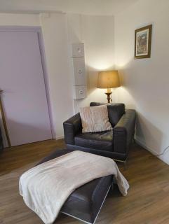 APPARTEMENT DAISY - Au Calme des Vignes - Parking privatif & Animaux Bienvenus - Dambach-la-Ville - 7