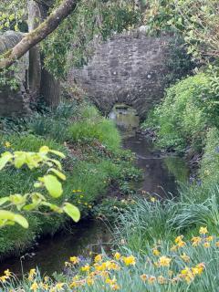 Garden Studio for Two - Doune - 9