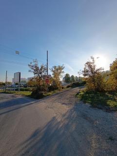 Kojiodmor - Sremski Karlovci - 6