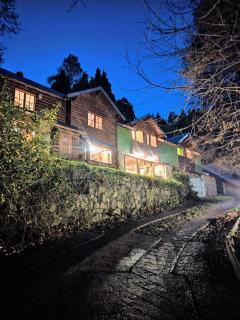 Cabaña rodeada de bosque nativo para 12 c parrilla - 5