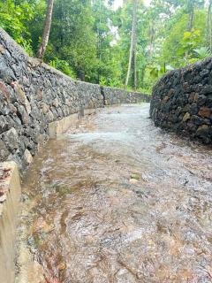 Bachelor's Tharavaadu - Athirappilly - 8