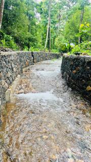 Bachelor's Tharavaadu - Athirappilly - 9