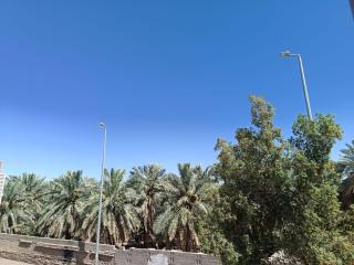 الدارالجميلة دارهيفاء تبعد عن الحرم 5 دقايق - Medina - 6