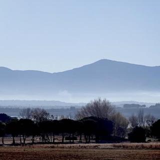 La Martanne - Argelès-sur-Mer - 3