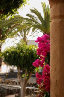 Luluhogar Fuerteventura - Corralejo - 3
