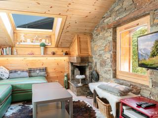 Charmant duplex avec jardin, 4 pers, Chamonix, animaux OK, parking, WIFI, à 5 min du centre - FR-1-343-167 - Chamonix-Mont-Blanc - 0