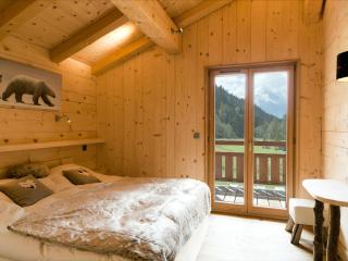 Chalet d'exception à Chamonix avec sauna, cheminée et proximité des pistes skiables - FR-1-343-181 - Chamonix-Mont-Blanc - 1