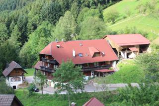 Ferienparadies Maierbauernhof - Bad Peterstal-Griesbach - 0