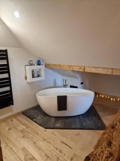 Duplex la Beun - Saint-Paul-en-Chablais - 0