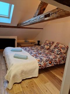 Duplex la Beun - Saint-Paul-en-Chablais - 3