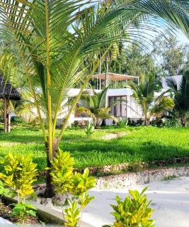 Shungi Villa Zanzibar - Tongoni - 3