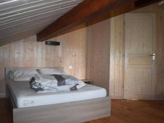 Chalet 3 Pièces avec Jardin, Garage et Loggia - Exposition Plein Sud - FR-1-580-10 - 3