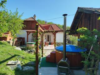 Kinga Guesthouse - Şiclod - 9