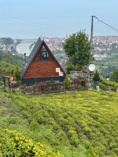 Yamaçdere Bungalov - Ardeşen - 8