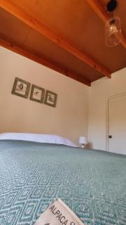 Little forest house - San Pedro de Atacama - 6