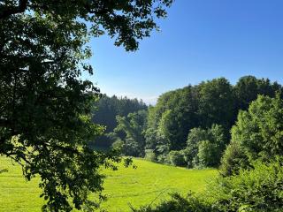 Monteurwohnung Kollmitzberg - - 0