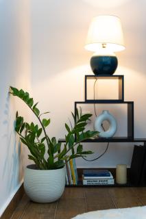 BlueMont Apartment - Podgorica - 2