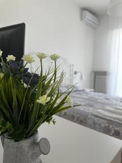 Appartamento Debbis Home Misano Adriatico - Misano Adriatico - 9
