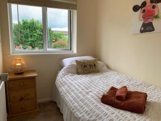 Beautiful home near to Musgrove Park Hospital - Taunton - 5