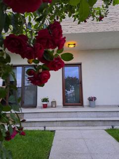 Casa verde 2 - Pantelimon - 8