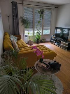 Appartement agréable - 1